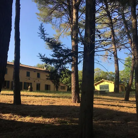 I Lecci Pesaro