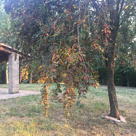 Guest house I Lecci